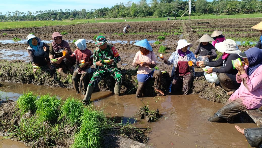 Kebersamaan TNI dan Warga Warnai TMMD Ke-128 di Desa Sungai Hijau