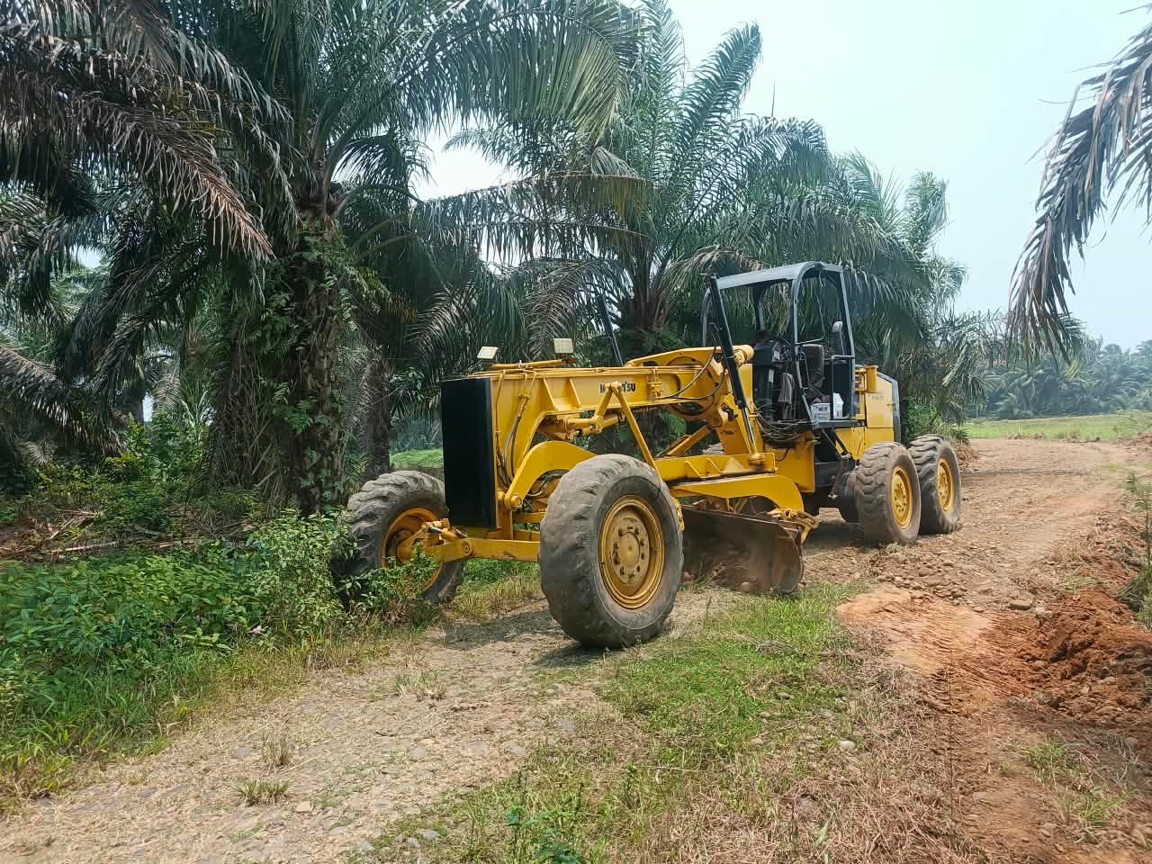 Pembangunan Jalan Baru di Bengkulu Dukung Mobilitas Masyarakat