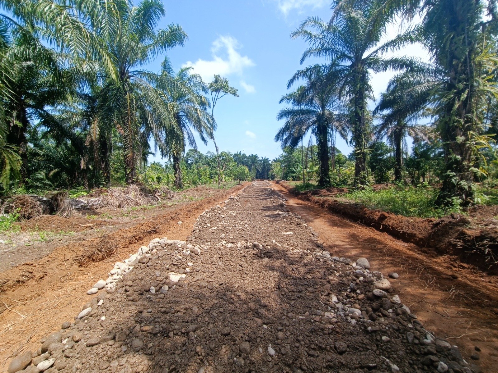Pembangunan Jalan 2,9 Kilometer TMMD ke-130 Dukung Integrasi Ekonomi Wilayah