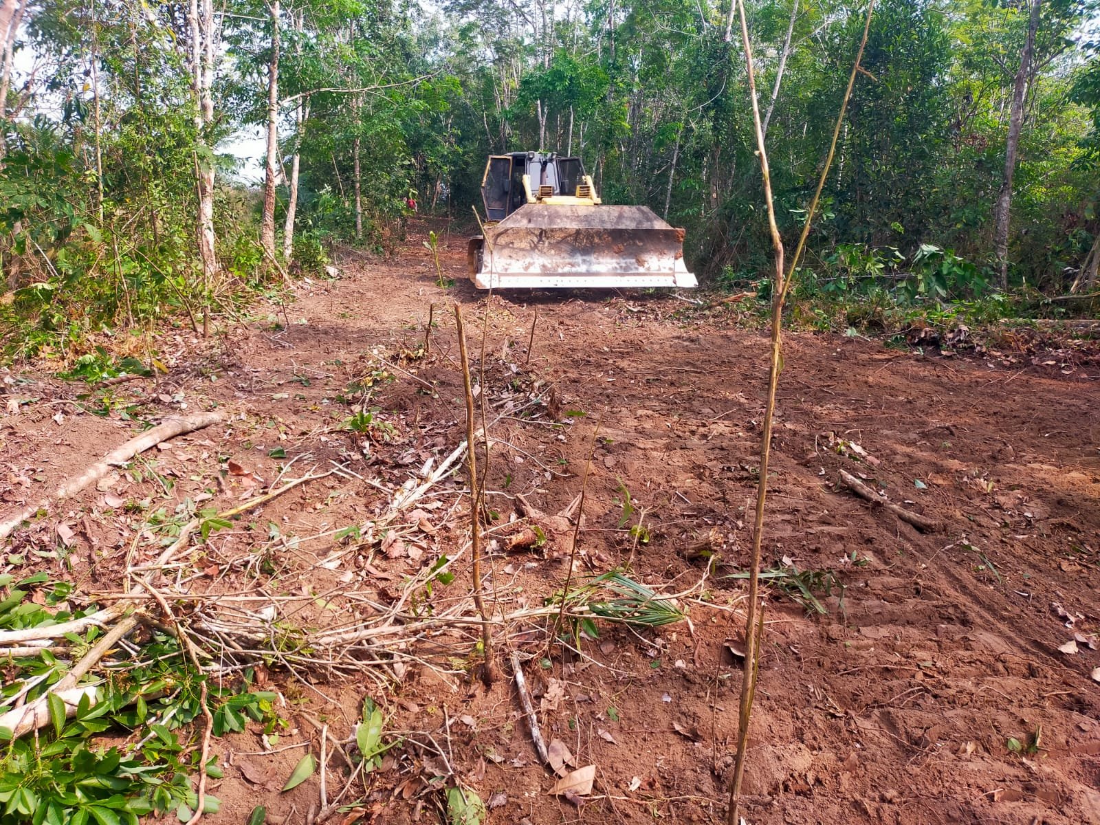 TNI Luncurkan Proyek Jalan Baru di Way Kanan untuk Tingkatkan Ekonomi Desa